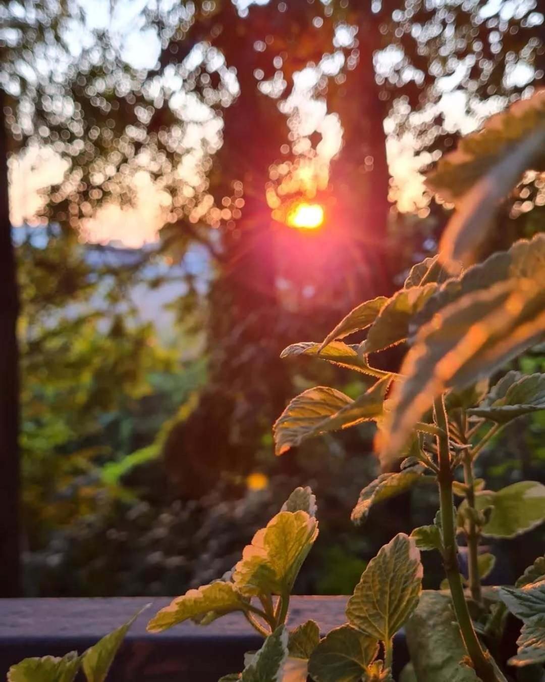 4 Venti Otel Curtatone Dış mekan fotoğraf